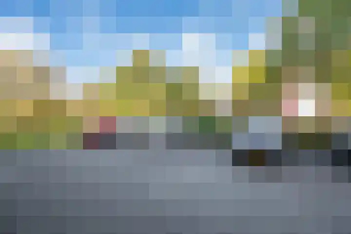 Veldzuring 61 Venlo thumbnail 33