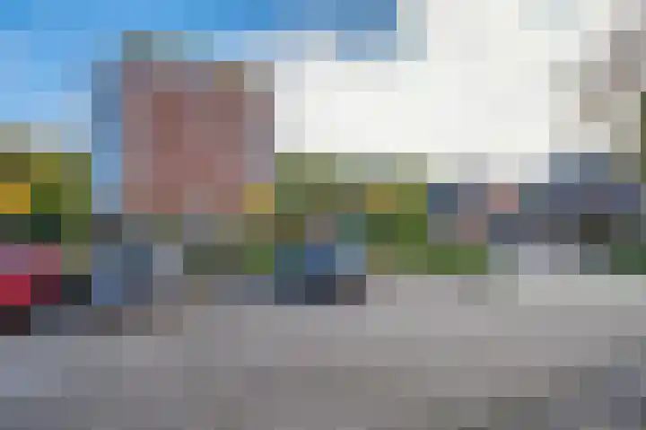 Veldzuring 61 Venlo thumbnail 34