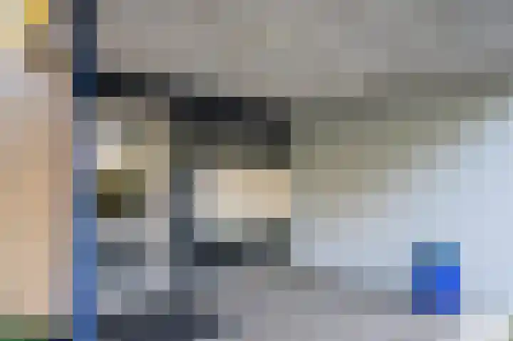 Veldzuring 61 Venlo thumbnail 4