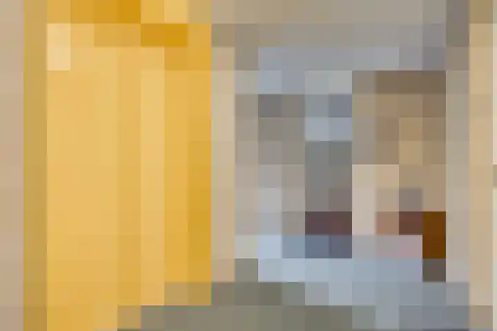 Veldzuring 61 Venlo thumbnail 7