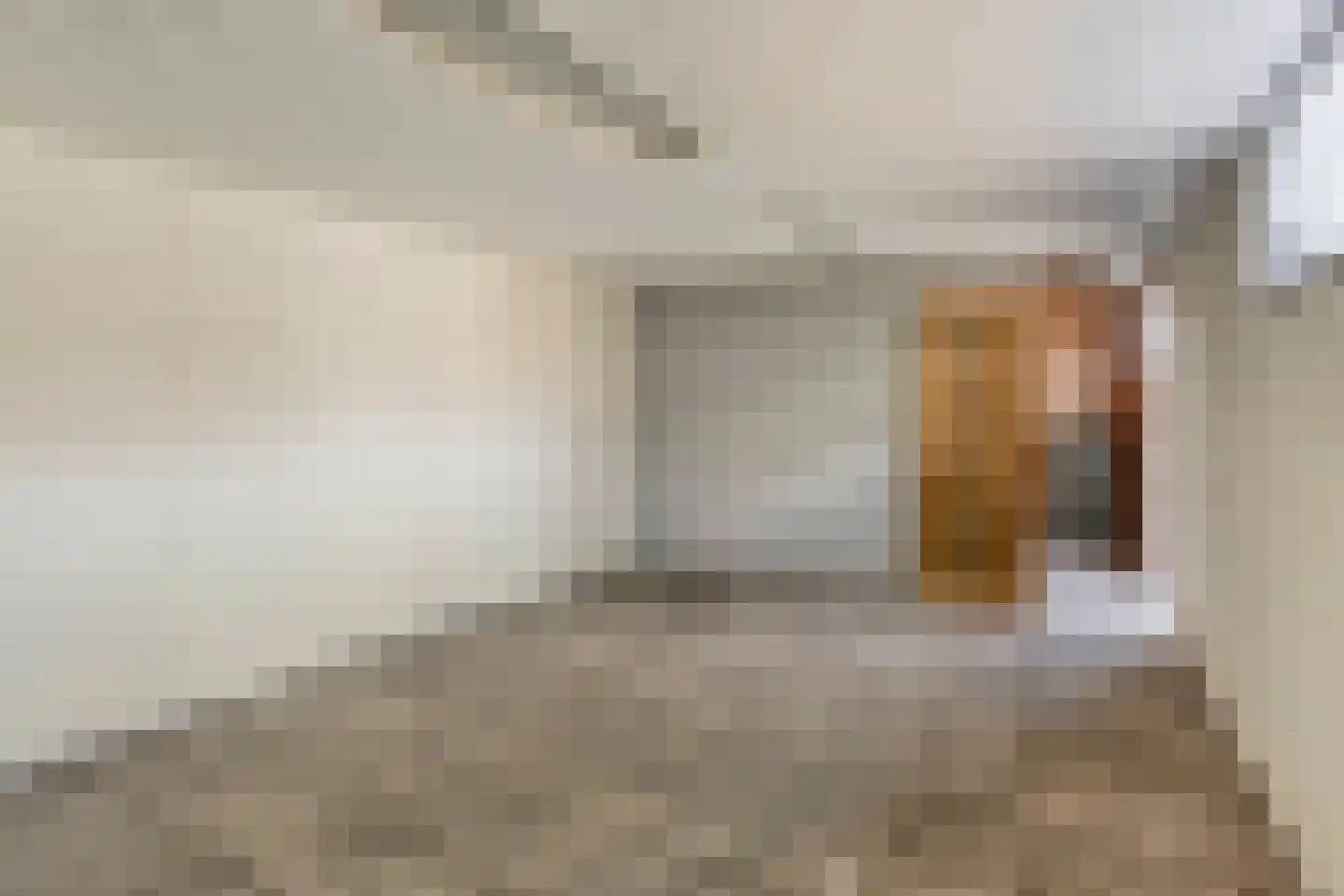 Velftstraat 10 Heesch thumbnail 24