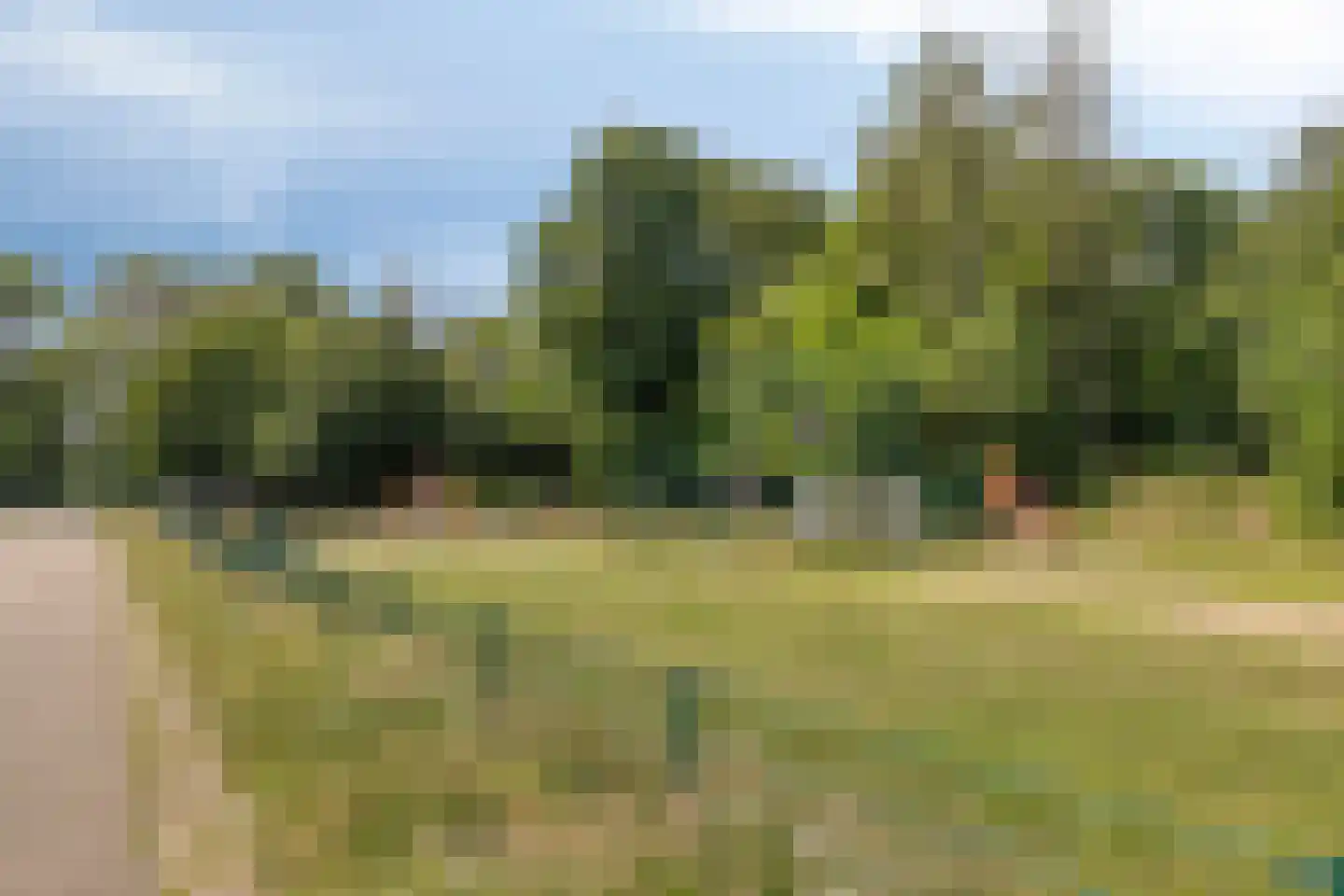 Velftstraat 10 Heesch thumbnail 29