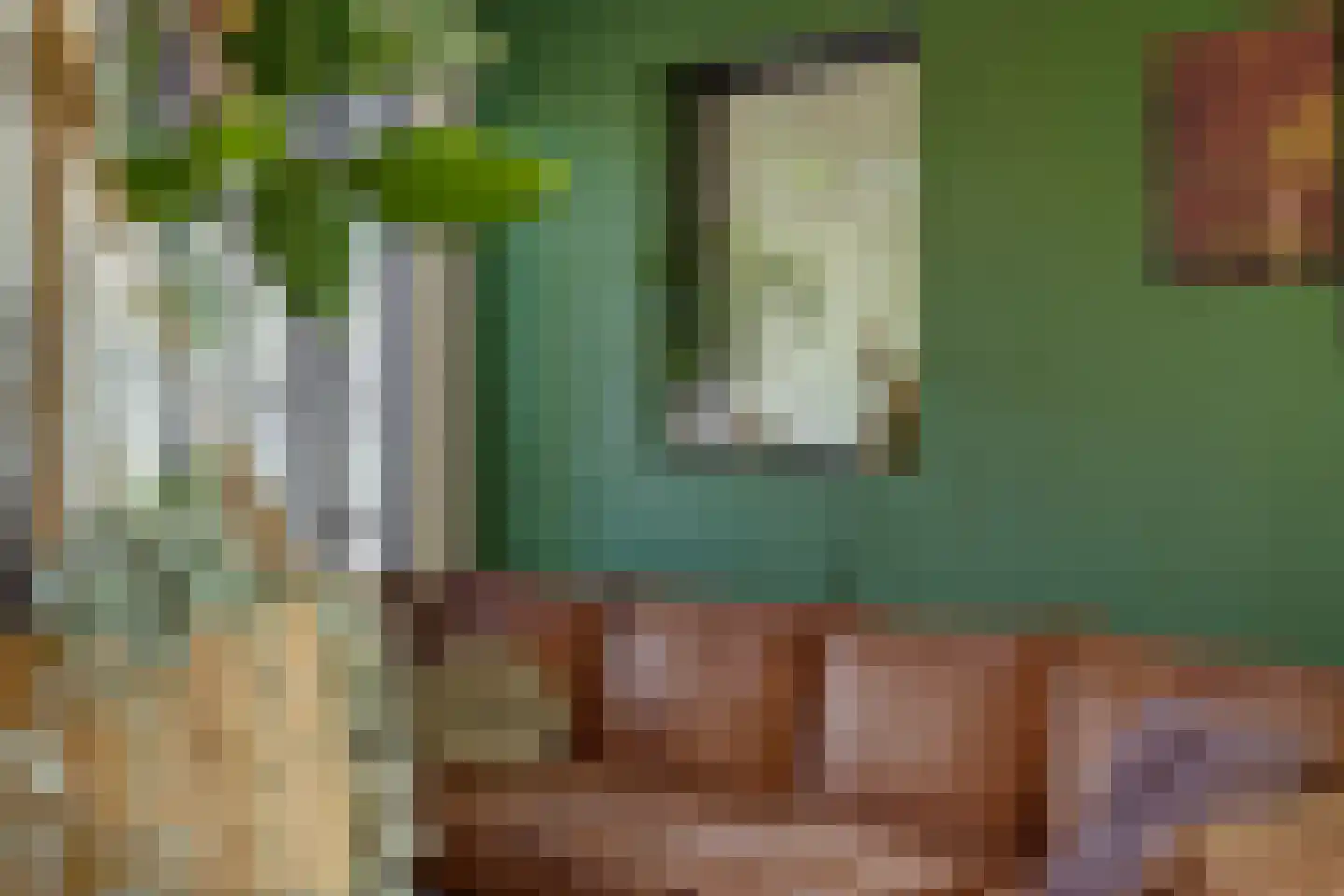 Velftstraat 21 Heesch thumbnail 12