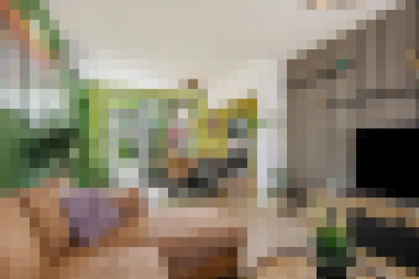 Velftstraat 21 Heesch thumbnail 13