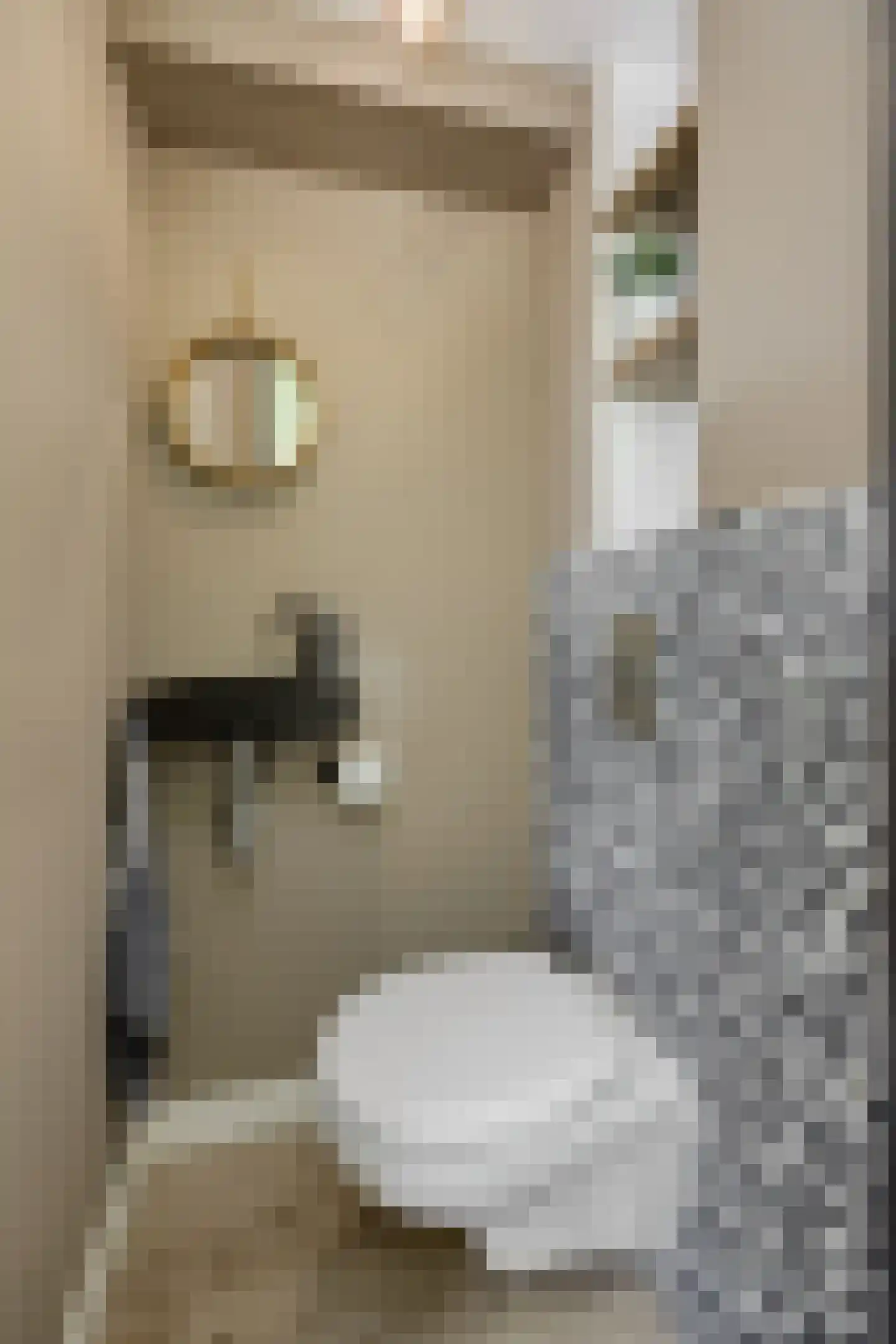 Velftstraat 21 Heesch thumbnail 16