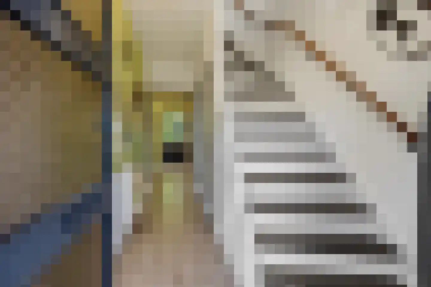 Velftstraat 21 Heesch thumbnail 17