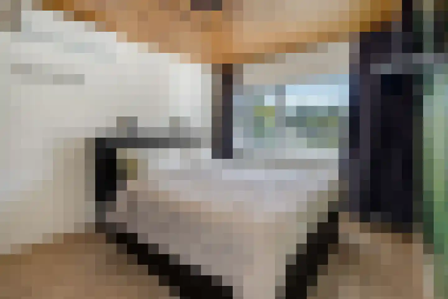 Velftstraat 21 Heesch thumbnail 19