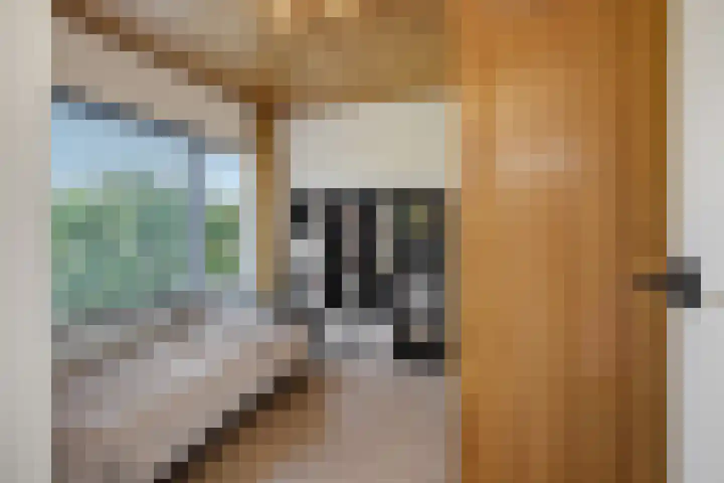Velftstraat 21 Heesch thumbnail 22
