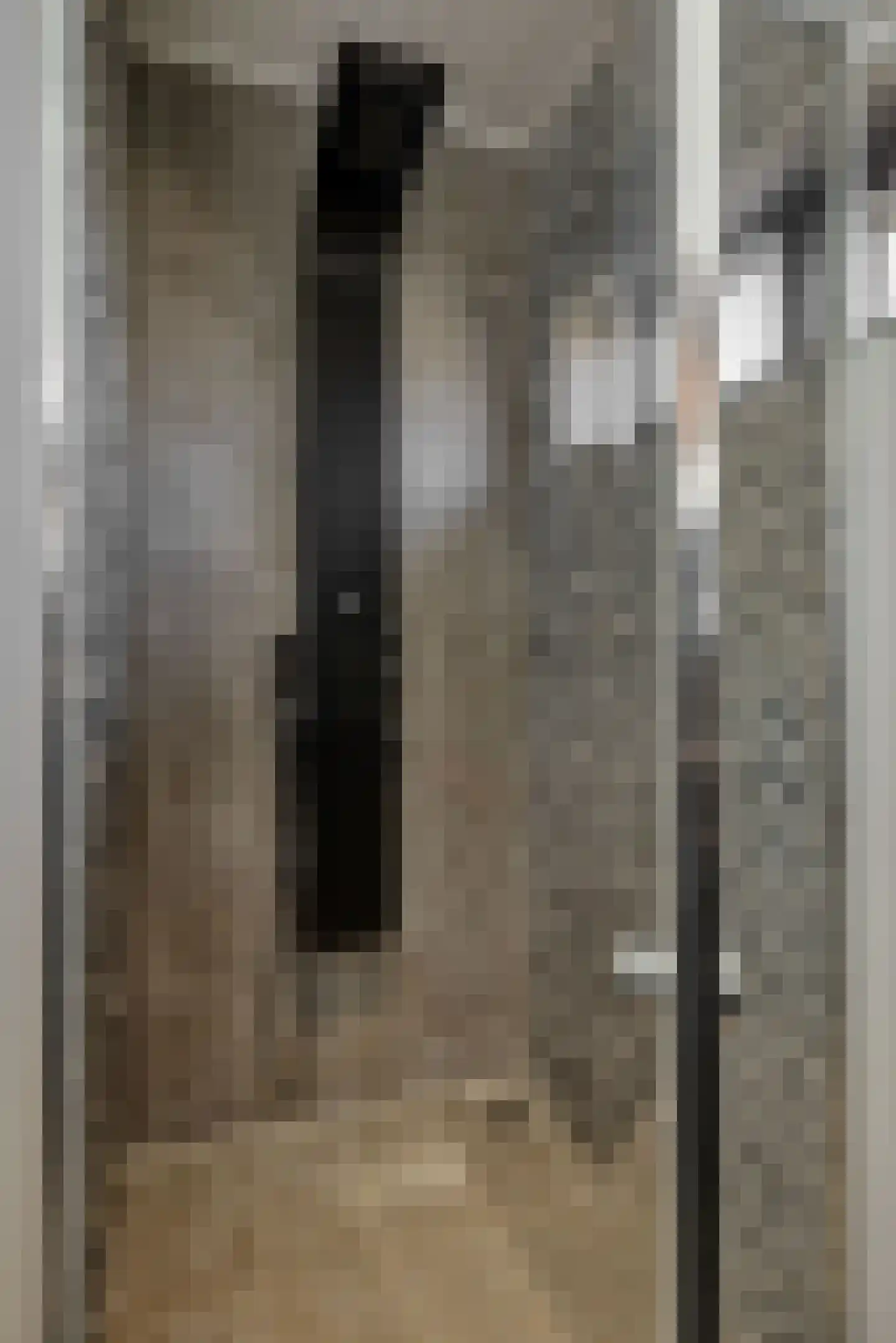 Velftstraat 21 Heesch thumbnail 27