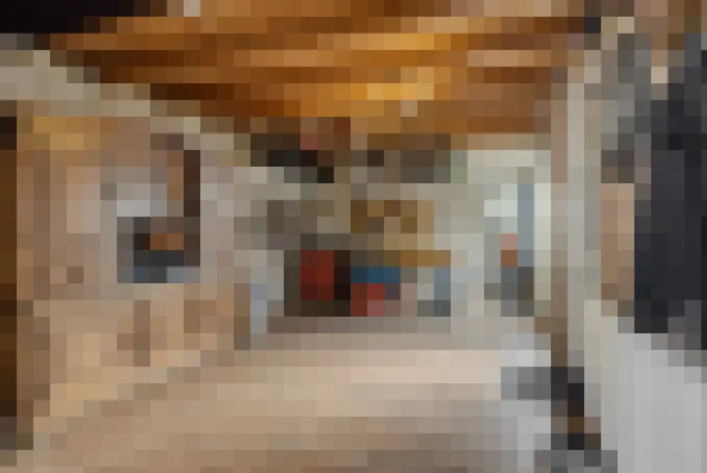 Velftstraat 21 Heesch thumbnail 30