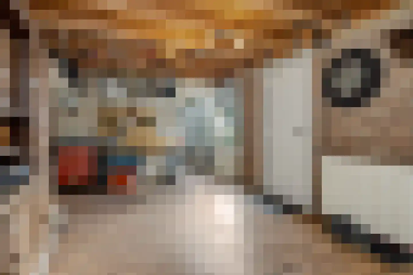 Velftstraat 21 Heesch thumbnail 31