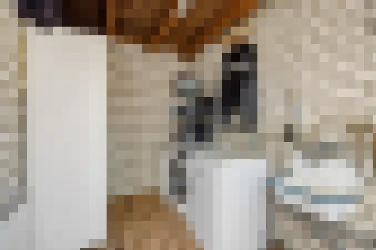 Velftstraat 21 Heesch thumbnail 32