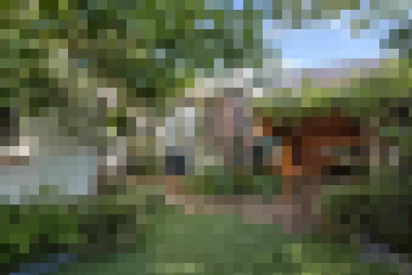 Velftstraat 21 Heesch thumbnail 33