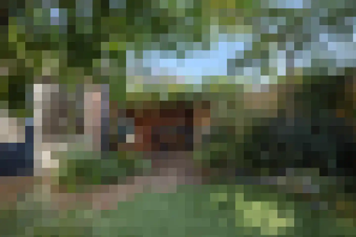Velftstraat 21 Heesch thumbnail 34