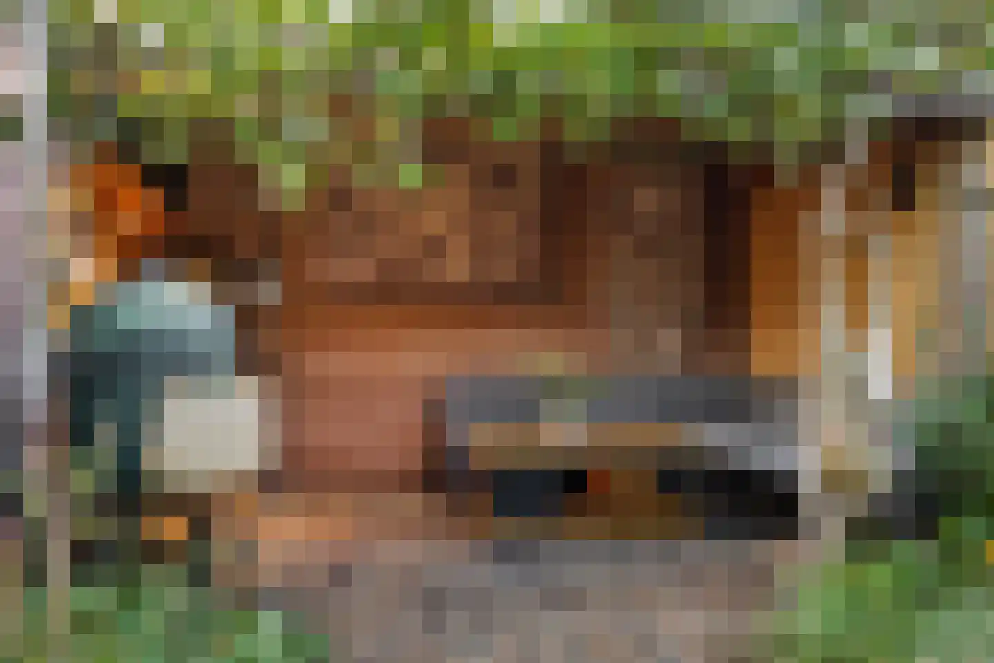 Velftstraat 21 Heesch thumbnail 35