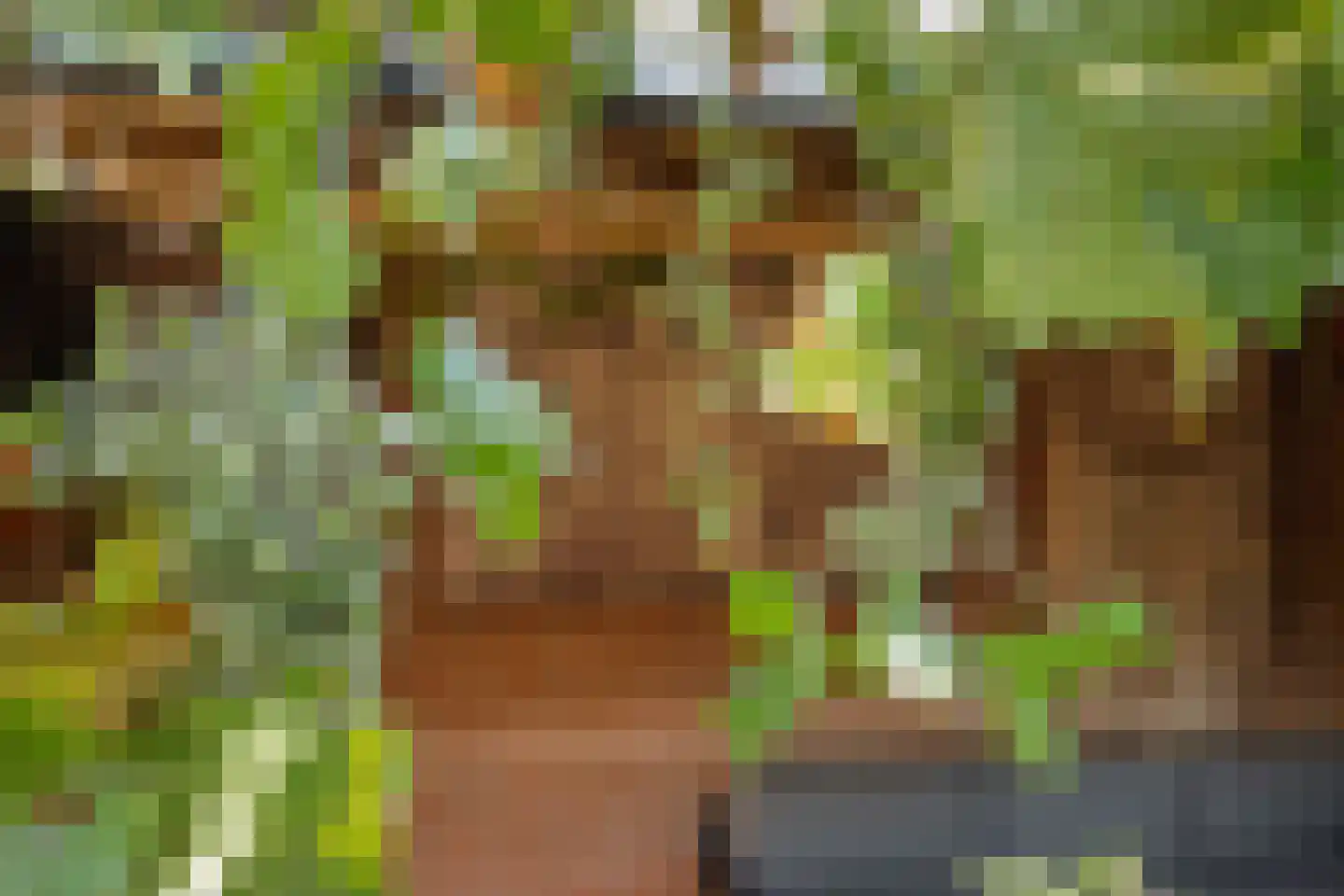 Velftstraat 21 Heesch thumbnail 36