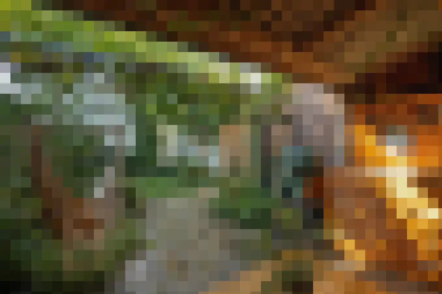Velftstraat 21 Heesch thumbnail 38
