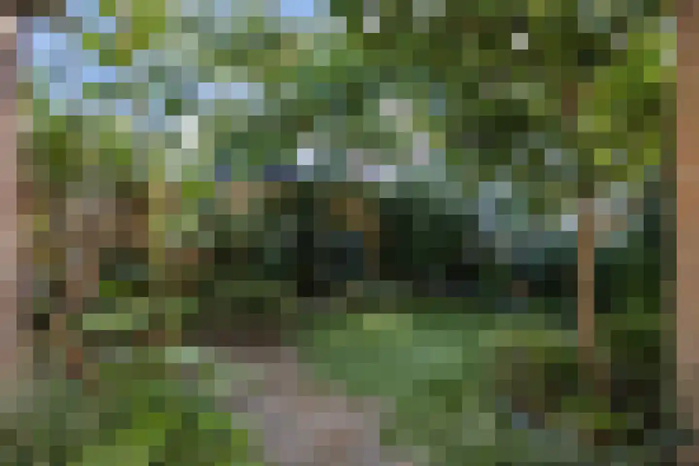 Velftstraat 21 Heesch thumbnail 40