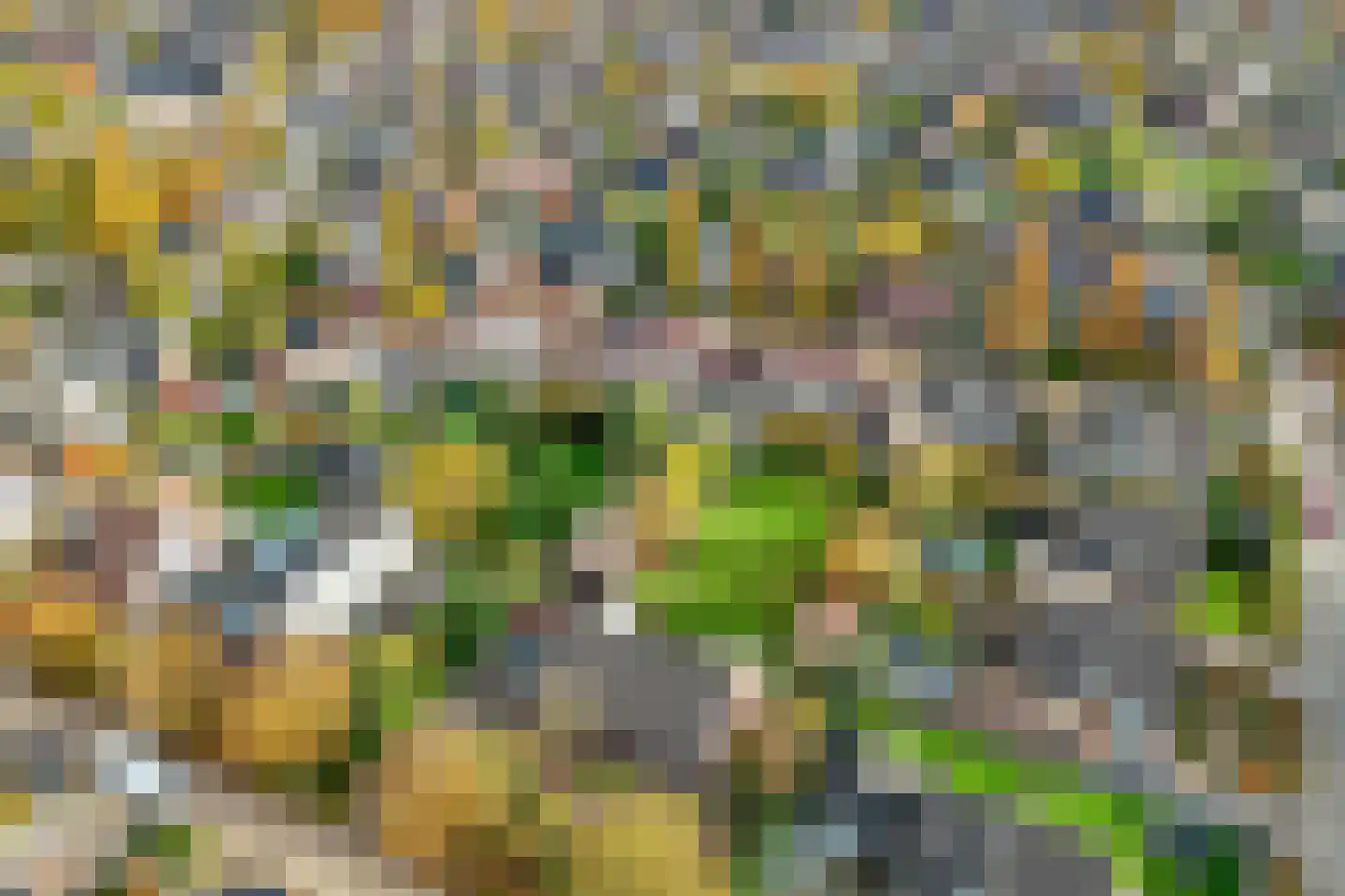 Velgert 1 Oeffelt thumbnail 14