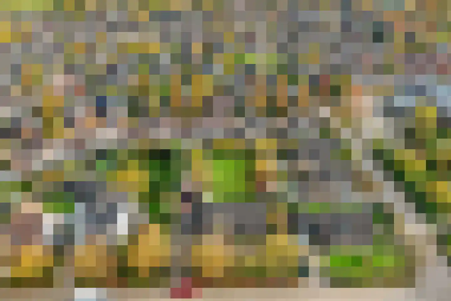Velgert 1 Oeffelt thumbnail 15