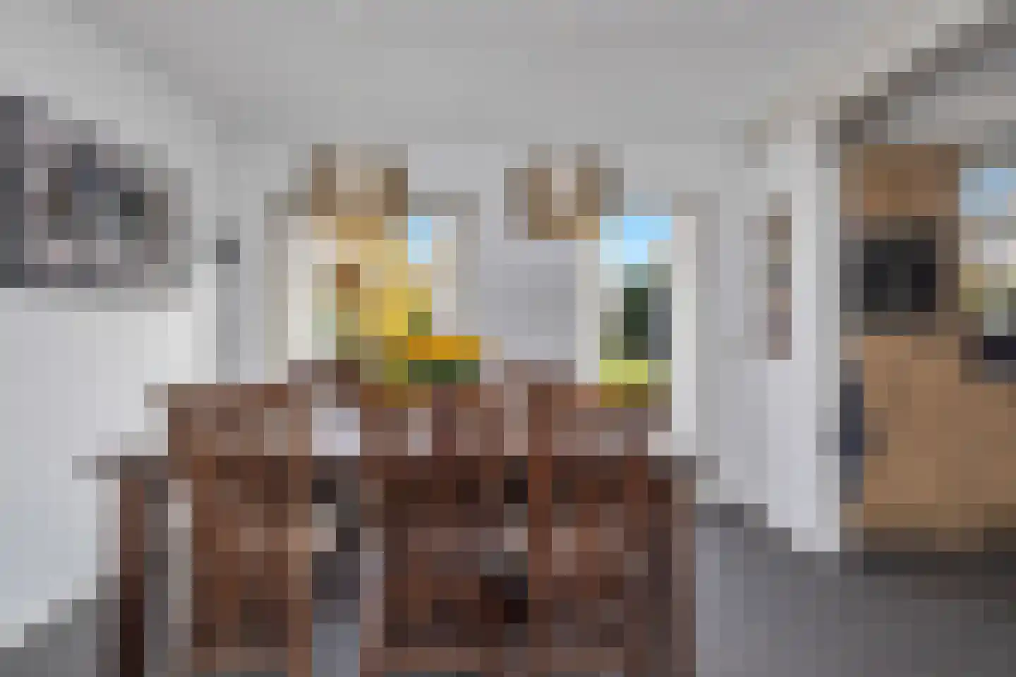 Velgert 1 Oeffelt thumbnail 25