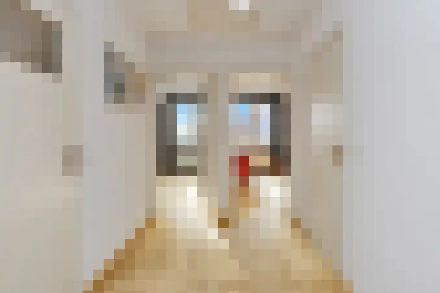 Velgert 1 Oeffelt thumbnail 34