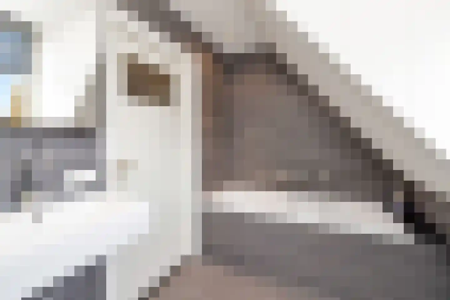 Velgert 1 Oeffelt thumbnail 35