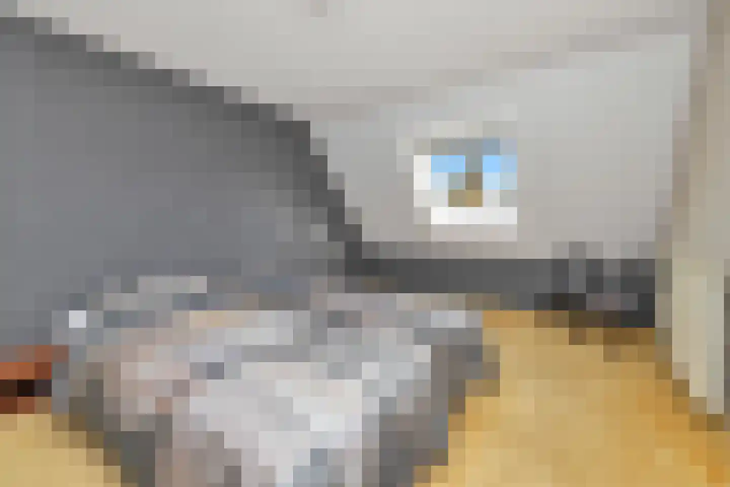 Velgert 1 Oeffelt thumbnail 38
