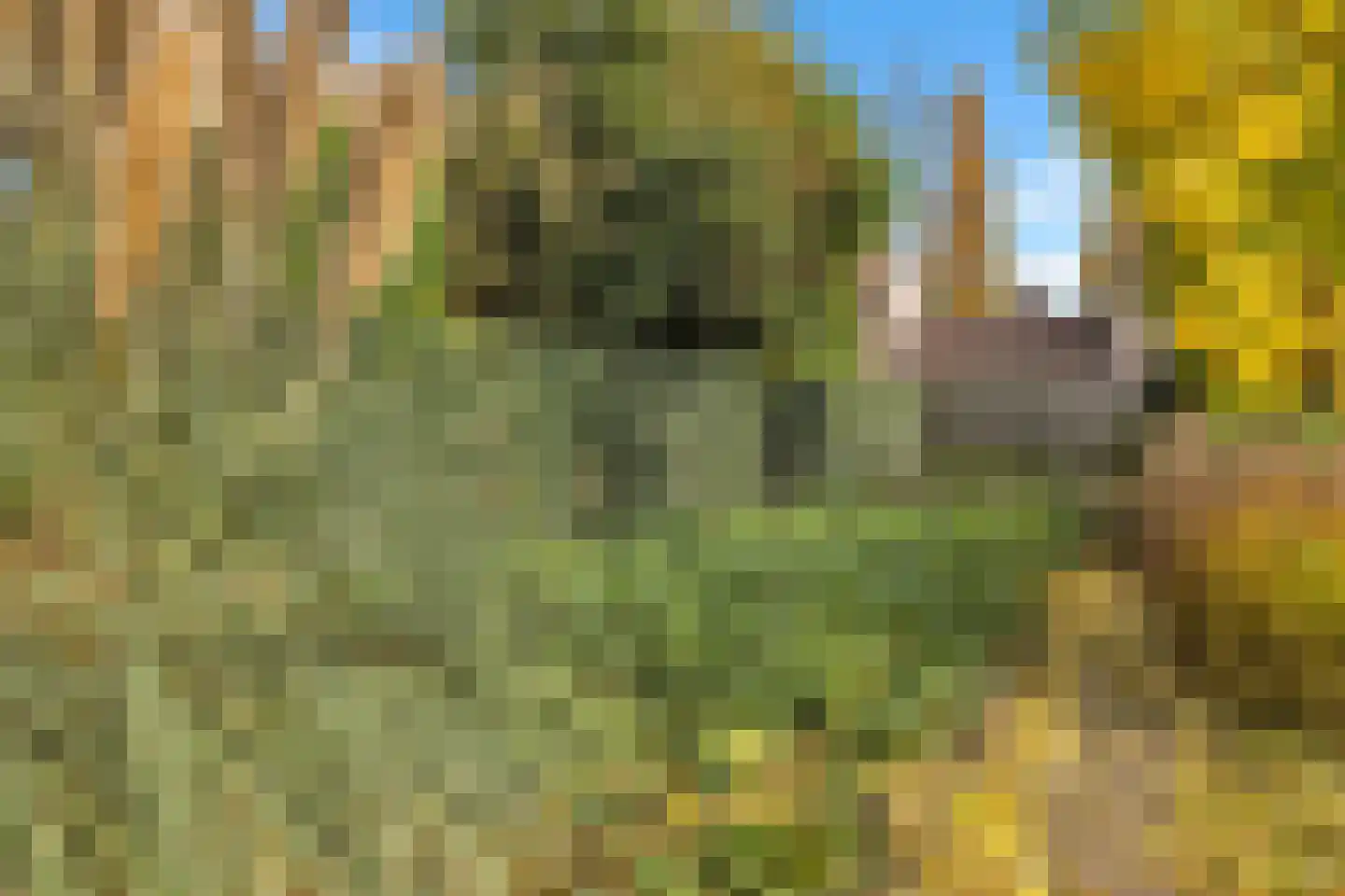 Velgert 1 Oeffelt thumbnail 52