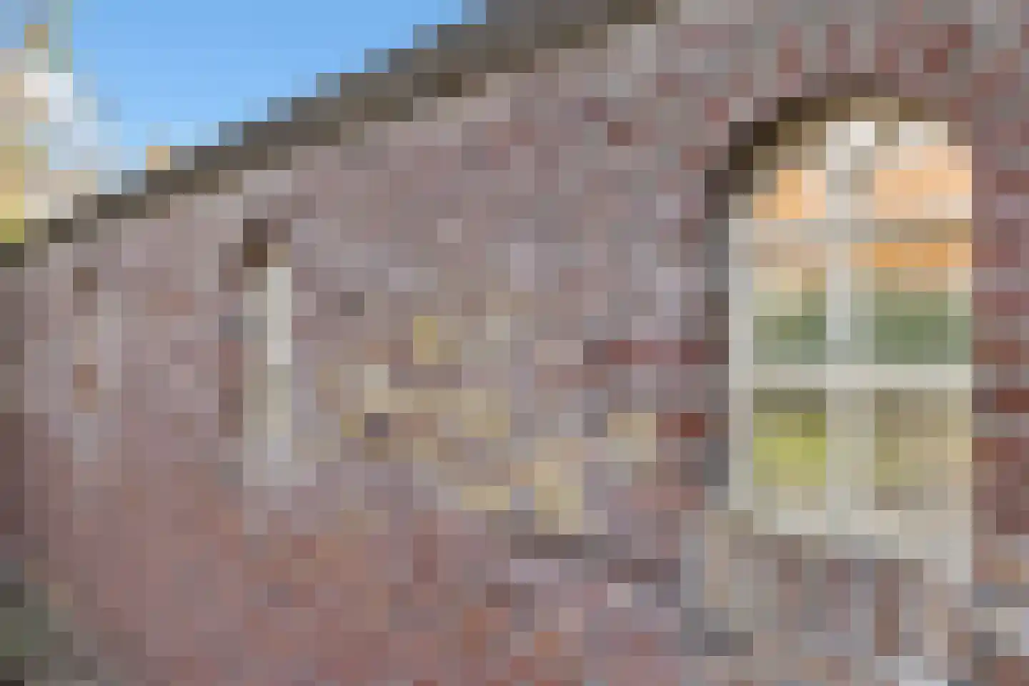 Velgert 1 Oeffelt thumbnail 9