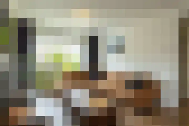 Velgraafweg 14 Holtum thumbnail 12