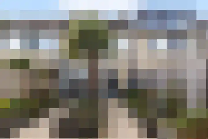 Velgraafweg 14 Holtum thumbnail 14