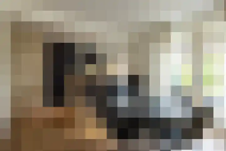Velgraafweg 14 Holtum thumbnail 14