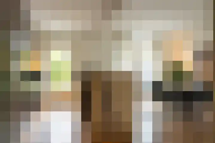Velgraafweg 14 Holtum thumbnail 17