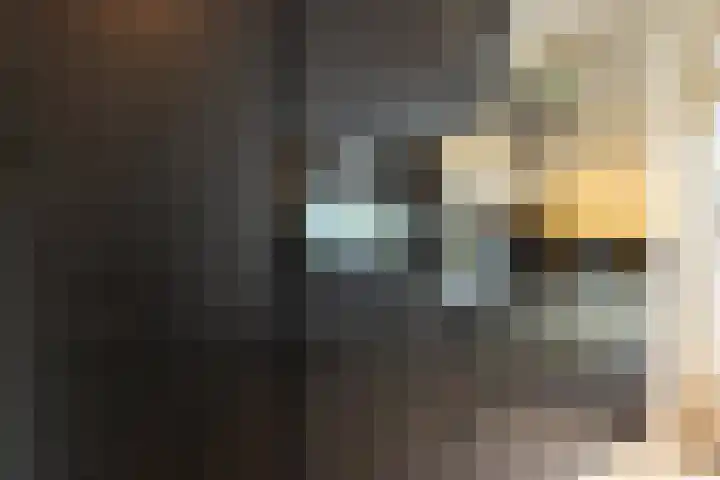 Velgraafweg 14 Holtum thumbnail 20