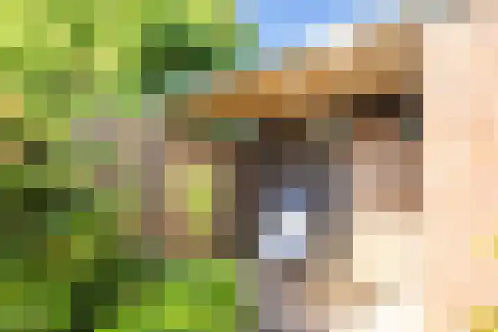 Velgraafweg 14 Holtum thumbnail 33