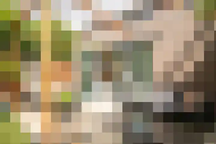 Velgraafweg 18 Holtum thumbnail 21