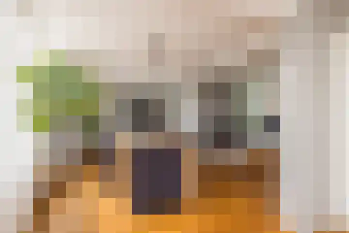 Velgraafweg 6 Holtum thumbnail 11
