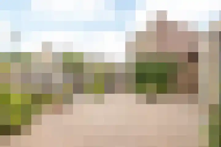 Velgraafweg 6 Holtum thumbnail 23