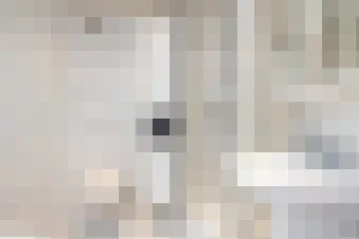 Velgraafweg 6 Holtum thumbnail 30