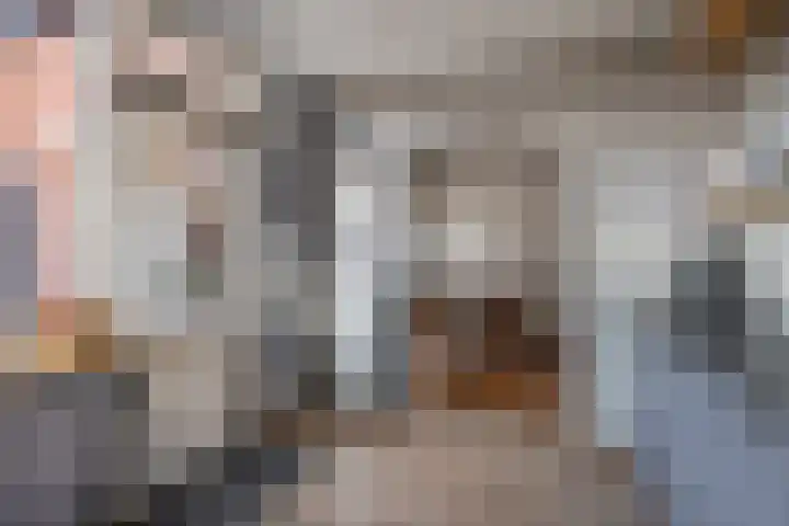 Velgtstraat 15 Hedel thumbnail 13