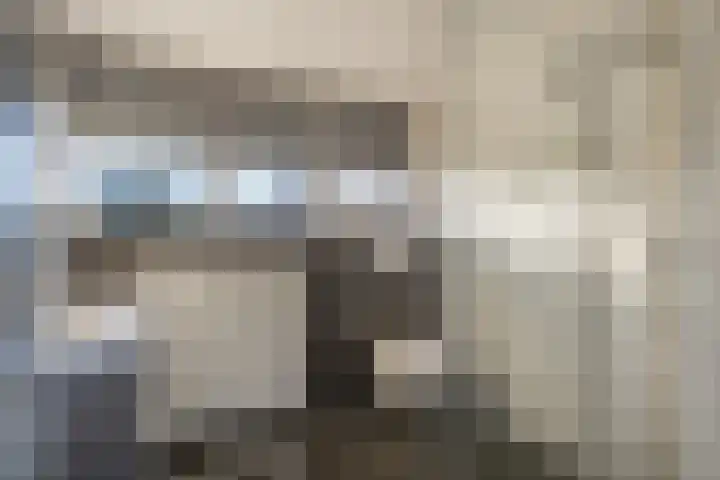 Velgtstraat 15 Hedel thumbnail 14