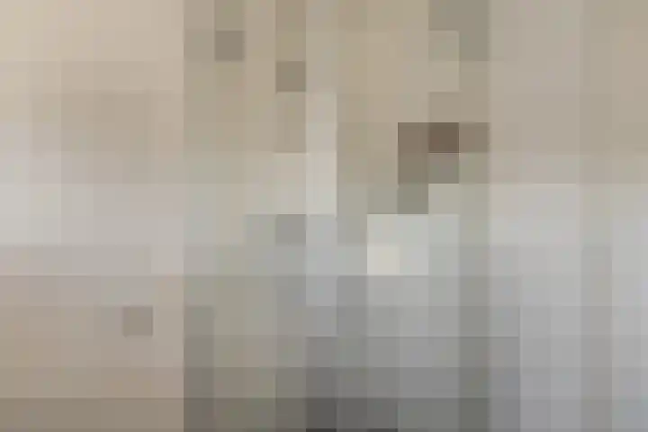 Velgtstraat 15 Hedel thumbnail 15