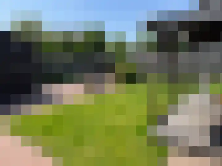 Velgtstraat 15 Hedel thumbnail 25
