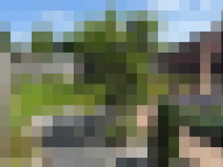 Velgtstraat 15 Hedel thumbnail 28