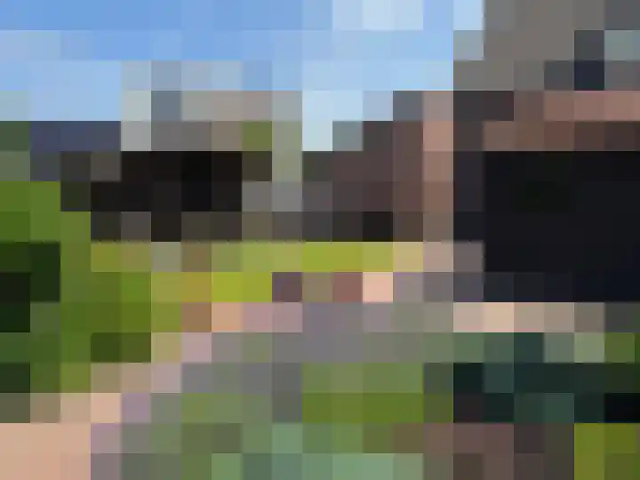 Velgtstraat 15 Hedel thumbnail 31