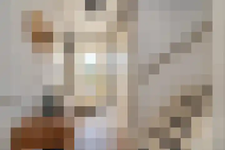 Velgtstraat 15 Hedel thumbnail 6