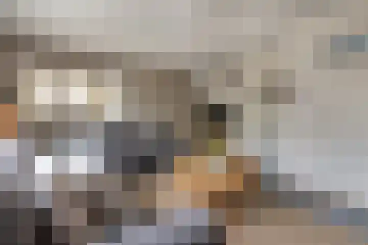 Velgtstraat 30 Hedel thumbnail 10
