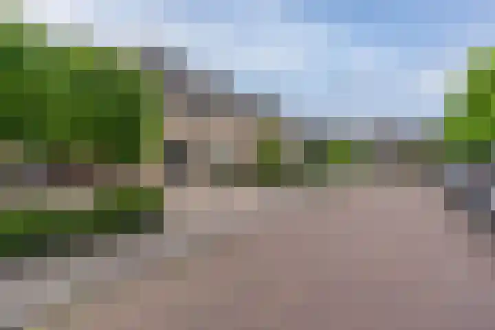 Velgtstraat 30 Hedel thumbnail 30
