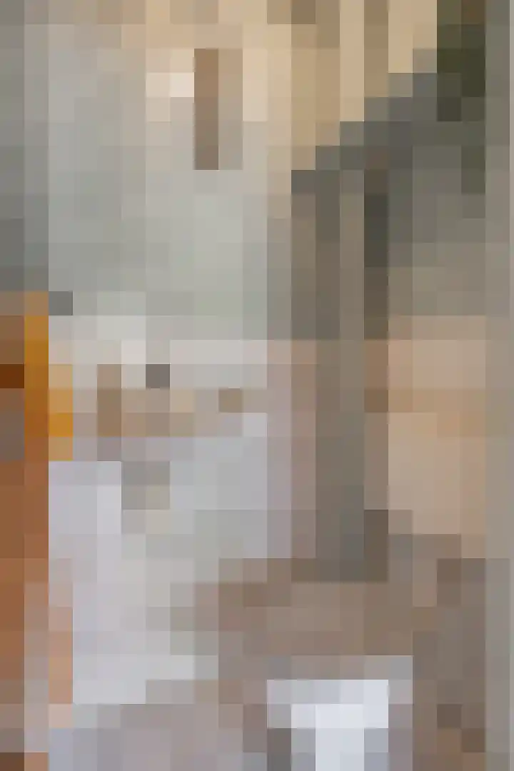 Velgtstraat 30 Hedel thumbnail 8